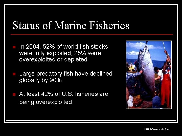 Status of Marine Fisheries n In 2004, 52% of world fish stocks were fully