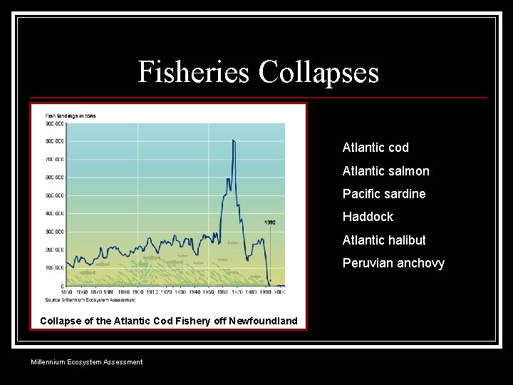 Fisheries Collapses Atlantic cod Atlantic salmon Pacific sardine Haddock Atlantic halibut Peruvian anchovy Collapse