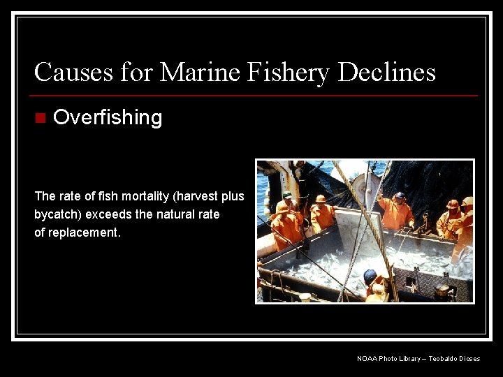 Causes for Marine Fishery Declines n Overfishing The rate of fish mortality (harvest plus