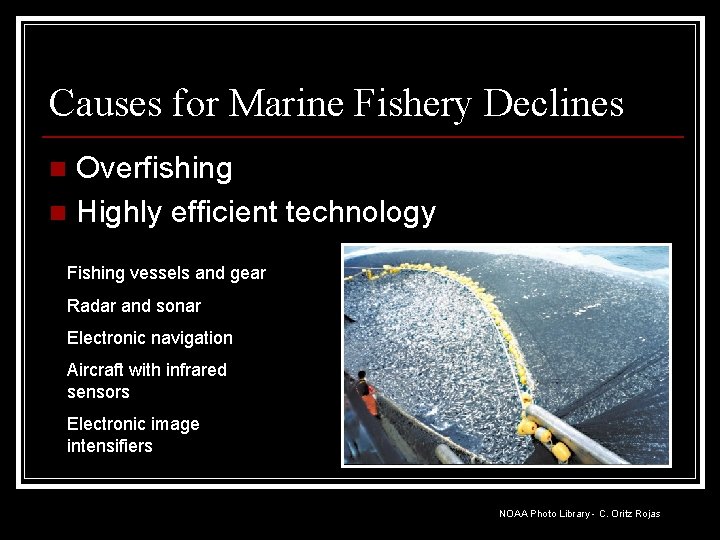 Causes for Marine Fishery Declines Overfishing n Highly efficient technology n Fishing vessels and