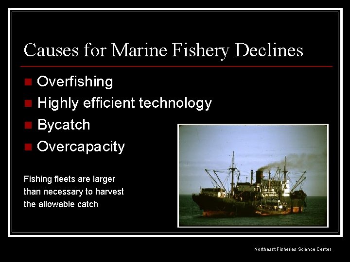 Causes for Marine Fishery Declines Overfishing n Highly efficient technology n Bycatch n Overcapacity