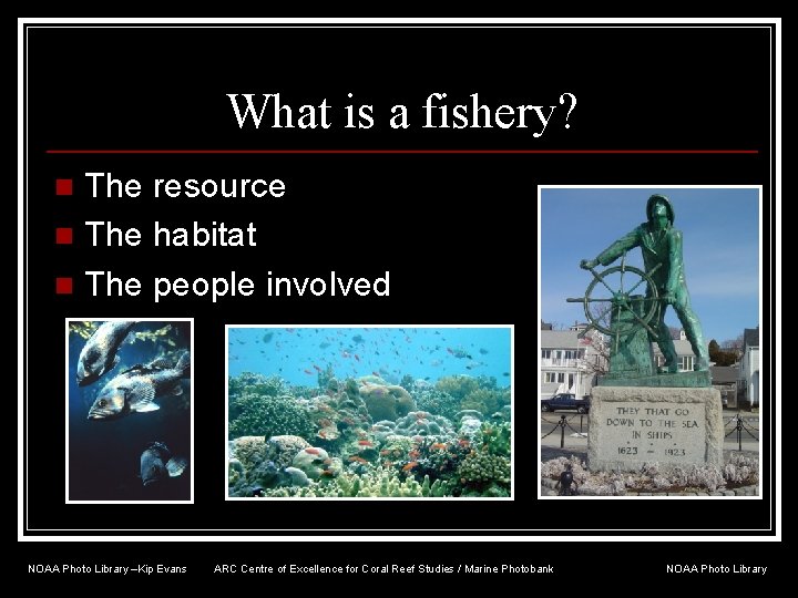 What is a fishery? The resource n The habitat n The people involved n