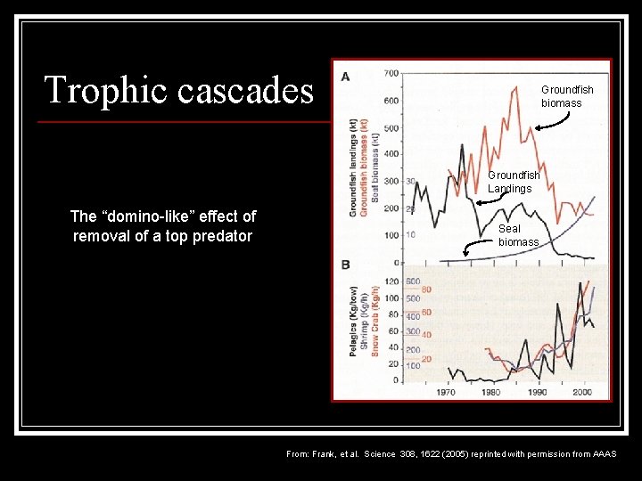 Trophic cascades Groundfish biomass Groundfish Landings The “domino-like” effect of removal of a top