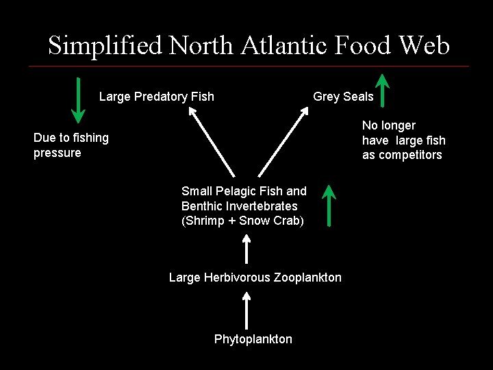 Simplified North Atlantic Food Web Large Predatory Fish Grey Seals No longer have large