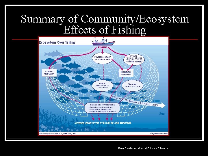 Summary of Community/Ecosystem Effects of Fishing Pew Center on Global Climate Change 
