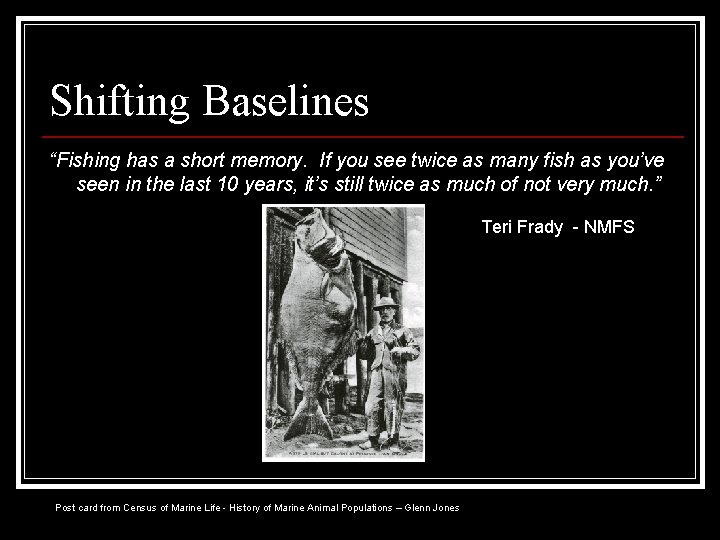 Shifting Baselines “Fishing has a short memory. If you see twice as many fish