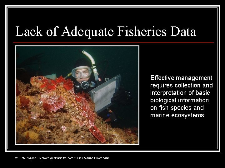 Lack of Adequate Fisheries Data Effective management requires collection and interpretation of basic biological