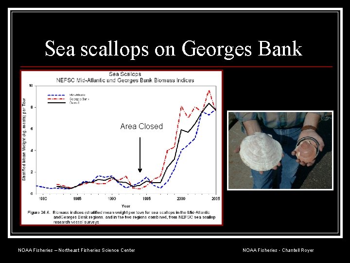Sea scallops on Georges Bank Area Closed NOAA Fisheries – Northeast Fisheries Science Center