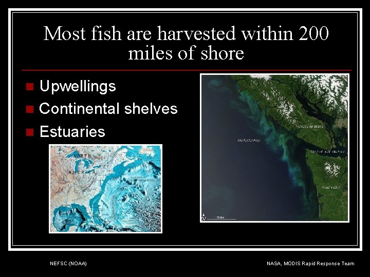 Most fish are harvested within 200 miles of shore Upwellings n Continental shelves n