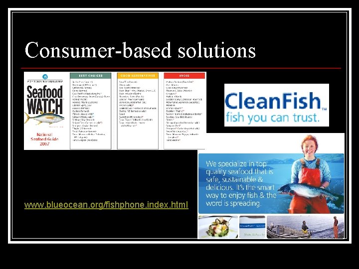 Consumer-based solutions www. blueocean. org/fishphone. index. html 