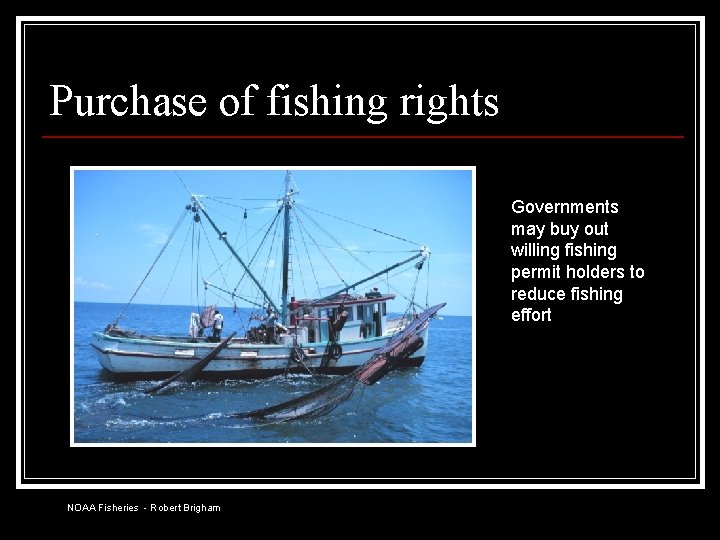 Purchase of fishing rights Governments may buy out willing fishing permit holders to reduce