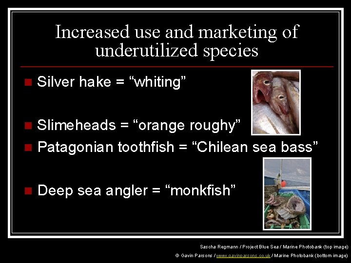 Increased use and marketing of underutilized species n Silver hake = “whiting” Slimeheads =