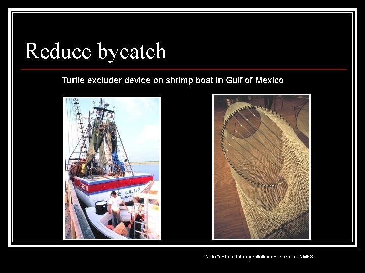 Reduce bycatch Turtle excluder device on shrimp boat in Gulf of Mexico NOAA Photo
