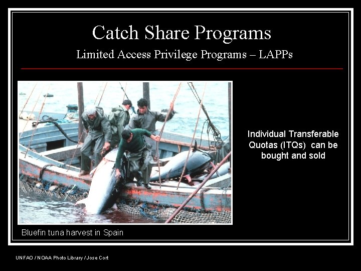 Catch Share Programs Limited Access Privilege Programs – LAPPs Individual Transferable Quotas (ITQs) can
