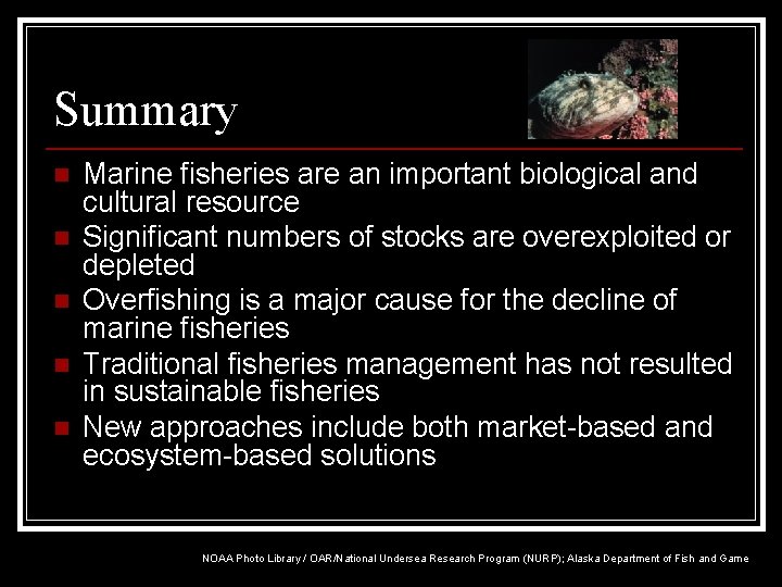 Summary n n n Marine fisheries are an important biological and cultural resource Significant