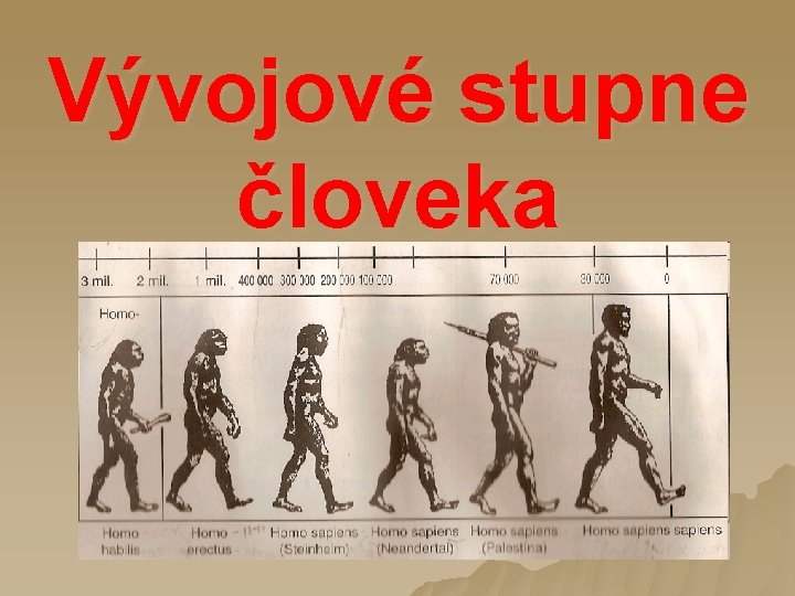 Vývojové stupne človeka 