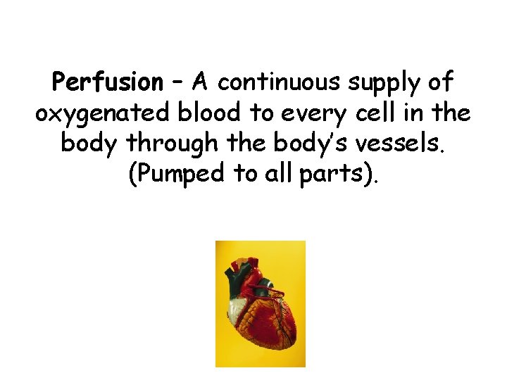 Perfusion – A continuous supply of oxygenated blood to every cell in the body