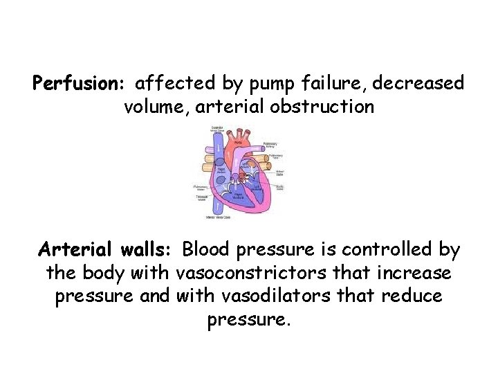 Perfusion: affected by pump failure, decreased volume, arterial obstruction Arterial walls: Blood pressure is