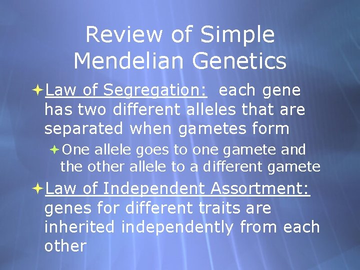 Review of Simple Mendelian Genetics Law of Segregation: each gene has two different alleles