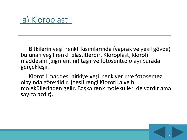 a) Kloroplast : Bitkilerin yeşil renkli kısımlarında (yaprak ve yeşil gövde) bulunan yeşil renkli