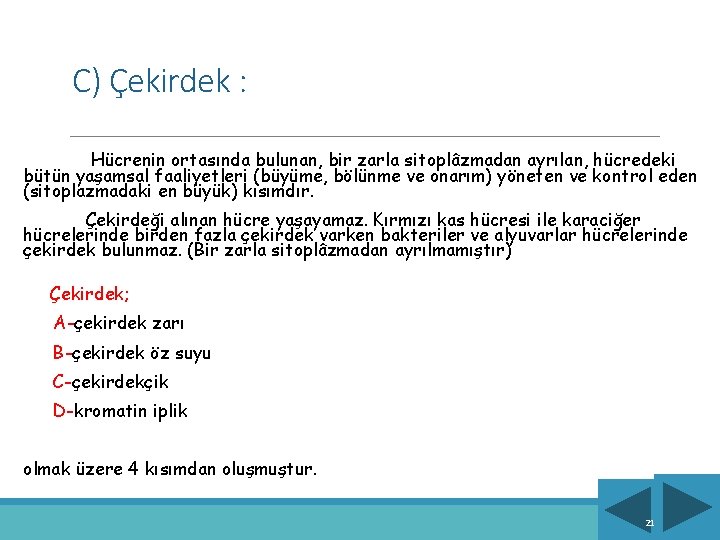 C) Çekirdek : Hücrenin ortasında bulunan, bir zarla sitoplâzmadan ayrılan, hücredeki bütün yaşamsal faaliyetleri