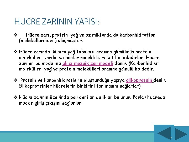 HÜCRE ZARININ YAPISI: v Hücre zarı, protein, yağ ve az miktarda da karbonhidrattan (moleküllerinden)