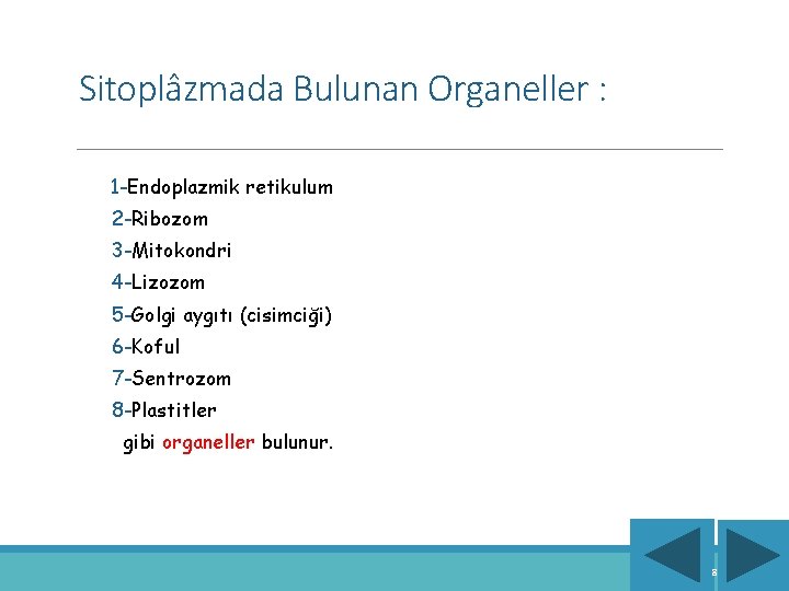 Sitoplâzmada Bulunan Organeller : 1 -Endoplazmik retikulum 2 -Ribozom 3 -Mitokondri 4 -Lizozom 5