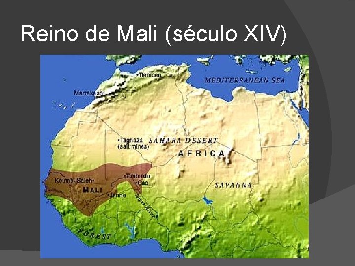 Reino de Mali (século XIV) 