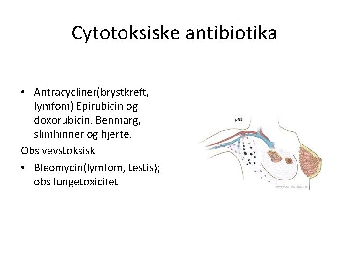 Cytotoksiske antibiotika • Antracycliner(brystkreft, lymfom) Epirubicin og doxorubicin. Benmarg, slimhinner og hjerte. Obs vevstoksisk