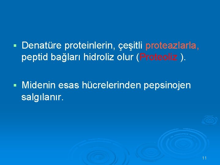 § Denatüre proteinlerin, çeşitli proteazlarla, peptid bağları hidroliz olur (Proteoliz ). § Midenin esas