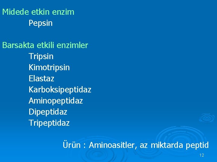 Midede etkin enzim Pepsin Barsakta etkili enzimler Tripsin Kimotripsin Elastaz Karboksipeptidaz Aminopeptidaz Dipeptidaz Tripeptidaz