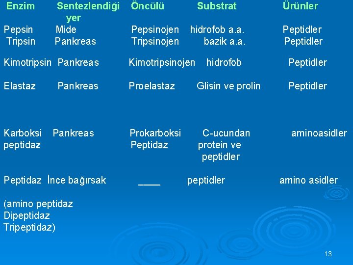 Enzim Pepsin Tripsin Sentezlendiği yer Mide Pankreas Öncülü Pepsinojen Tripsinojen Substrat Ürünler hidrofob a.