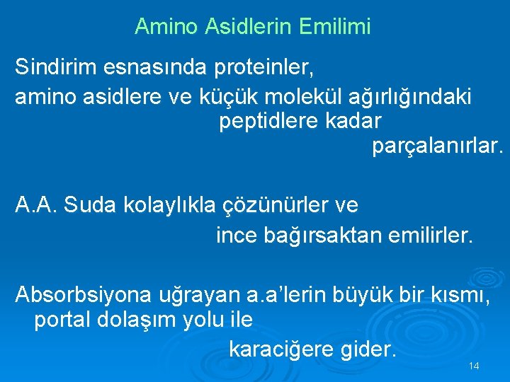 Amino Asidlerin Emilimi Sindirim esnasında proteinler, amino asidlere ve küçük molekül ağırlığındaki peptidlere kadar