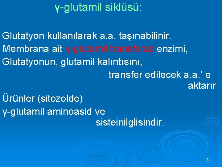 γ-glutamil siklüsü: Glutatyon kullanılarak a. a. taşınabilinir. Membrana ait γ-glutamil transferaz enzimi, Glutatyonun, glutamil