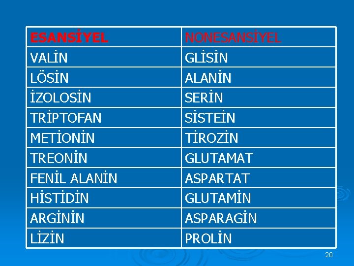 ESANSİYEL VALİN LÖSİN İZOLOSİN TRİPTOFAN METİONİN TREONİN FENİL ALANİN HİSTİDİN ARGİNİN LİZİN NONESANSİYEL GLİSİN