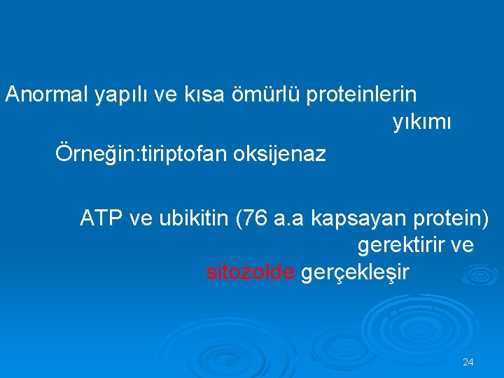 Anormal yapılı ve kısa ömürlü proteinlerin yıkımı Örneğin: tiriptofan oksijenaz ATP ve ubikitin (76
