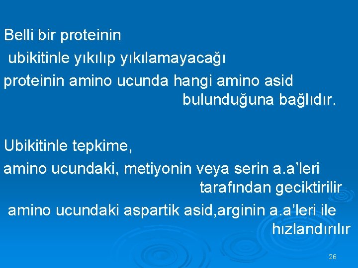 Belli bir proteinin ubikitinle yıkılıp yıkılamayacağı proteinin amino ucunda hangi amino asid bulunduğuna bağlıdır.