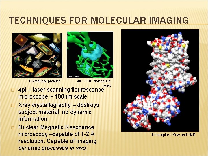 TECHNIQUES FOR MOLECULAR IMAGING Crystallized proteins � � � 4π – FGP stained live