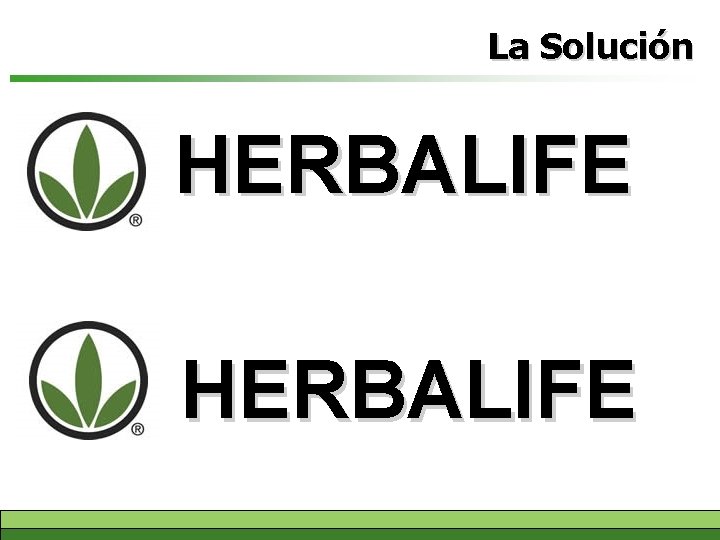 La Solución HERBALIFE 