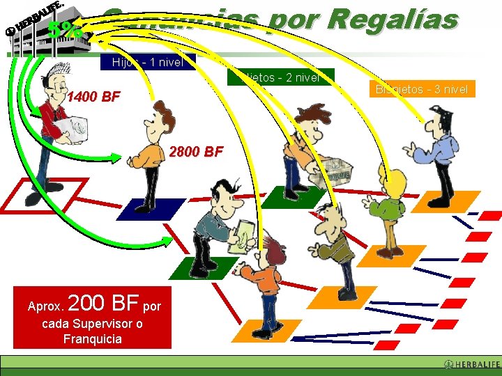 5% Ganancias por Regalías Hijos - 1 nivel Nietos - 2 nivel 1400 BF