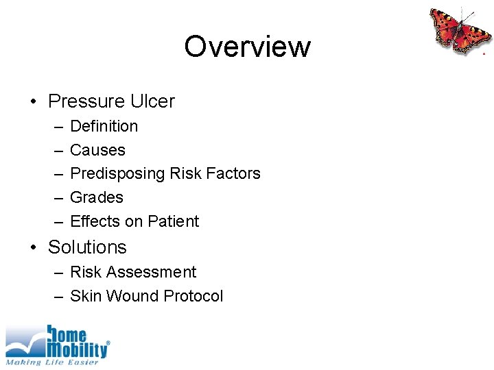 Overview • Pressure Ulcer – – – Definition Causes Predisposing Risk Factors Grades Effects