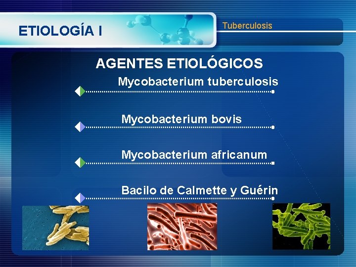 ETIOLOGÍA I Tuberculosis AGENTES ETIOLÓGICOS Mycobacterium tuberculosis Mycobacterium bovis Mycobacterium africanum Bacilo de Calmette