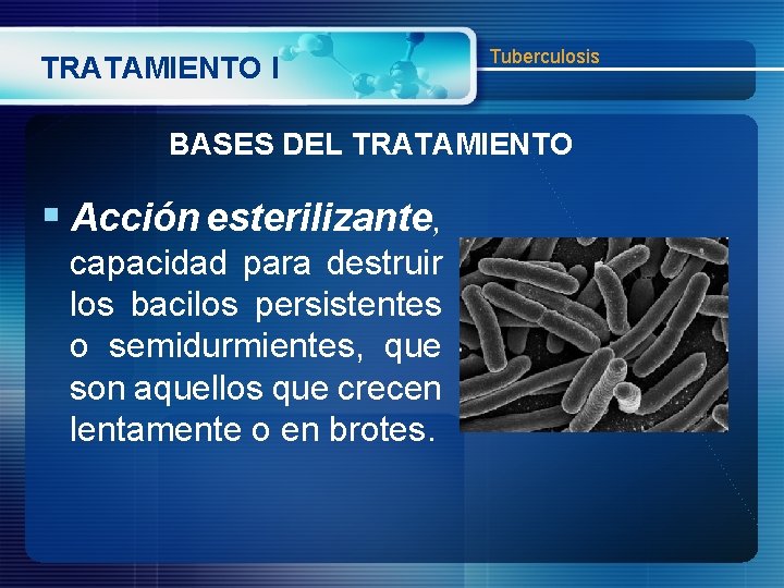 TRATAMIENTO I Tuberculosis BASES DEL TRATAMIENTO § Acción esterilizante, capacidad para destruir los bacilos