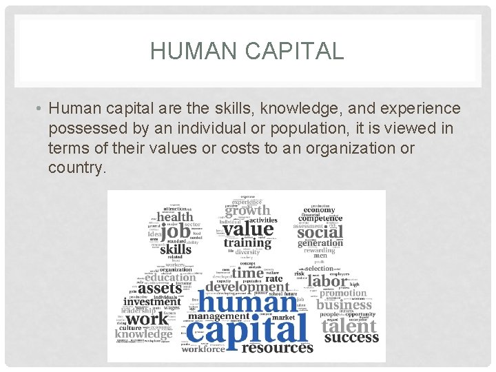 HUMAN CAPITAL • Human capital are the skills, knowledge, and experience possessed by an