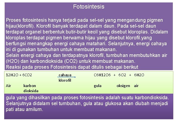 Fotosintesis Proses fotosintesis hanya terjadi pada sel-sel yang mengandung pigmen hijau(klorofil). Klorofil banyak terdapat