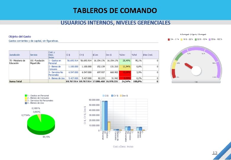 TABLEROS DE COMANDO USUARIOS INTERNOS, NIVELES GERENCIALES 13 