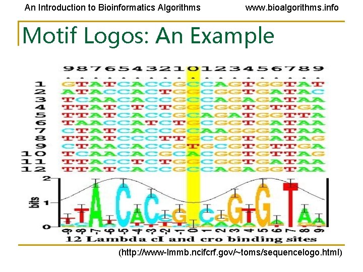 An Introduction to Bioinformatics Algorithms www. bioalgorithms. info Motif Logos: An Example (http: //www-lmmb.