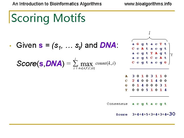 An Introduction to Bioinformatics Algorithms www. bioalgorithms. info Scoring Motifs l • Given s