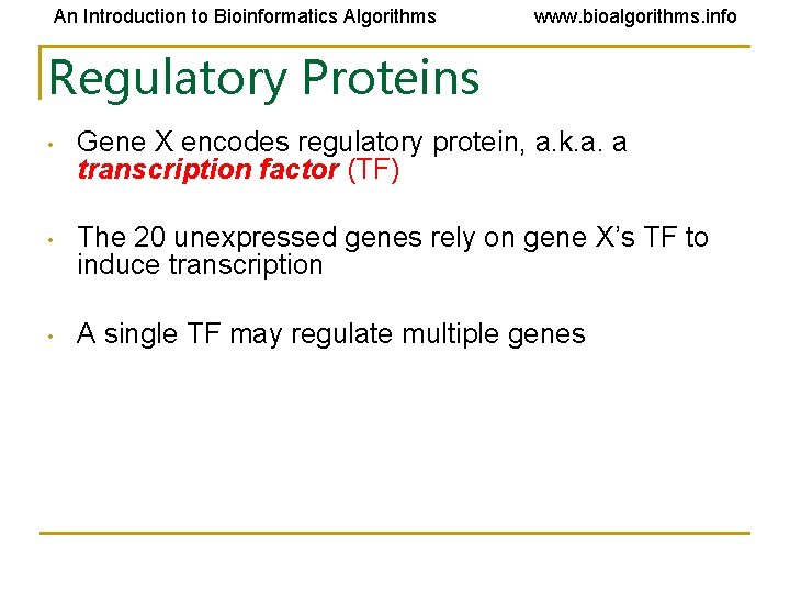 An Introduction to Bioinformatics Algorithms www. bioalgorithms. info Regulatory Proteins • Gene X encodes