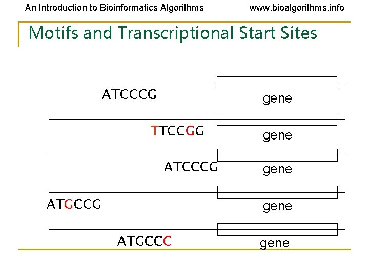 An Introduction to Bioinformatics Algorithms www. bioalgorithms. info Motifs and Transcriptional Start Sites ATCCCG